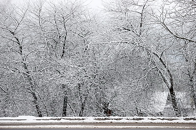 Зимний Гродно. Город накрыло снегом