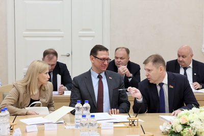 Законопроект о признании квалификации обсуждается на Экспертном совете при Совете Республики