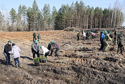 Для будущих поколений. Акция \"Дай лесу новае жыццё!\" стартовала в Жлобинском районе