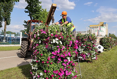 Около 700 тыс. цветов высадят в Гомеле с наступлением теплых дней