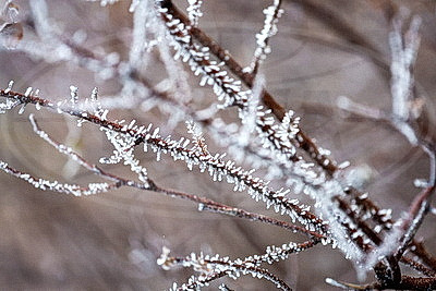 ФОТОХРОНИКА начинает новый информационный день