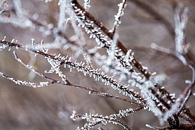 ФОТОХРОНИКА начинает новый информационный день