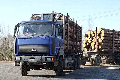 Завершить разработку ветроломов и восстановить лес после июльского урагана. Сроки и объемы обсудили в Жлобине
