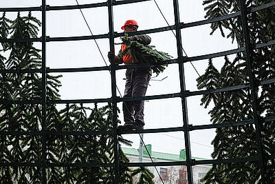 Выше девятиэтажного дома. В Могилеве монтируют главную новогоднюю елку региона