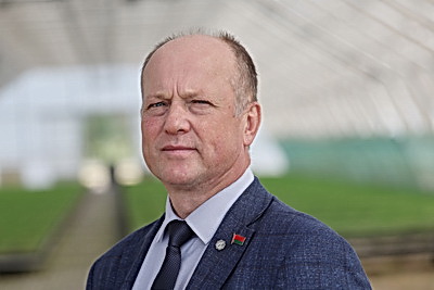 От семечка до зеленого богатства страны. Кто выращивает саженцы для будущих лесов Беларуси