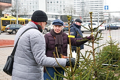 Зимняя сказка и вкусные угощения. Рождественская ярмарка открылась у Дворца спорта в Минске