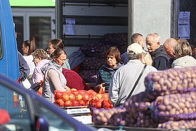 В Бресте начали работать осенние ярмарки
