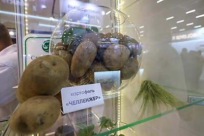 \"Белагро-2025\" начала работу в Минске