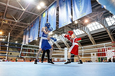 Олимпийские дни молодежи по боксу проходят в Бресте