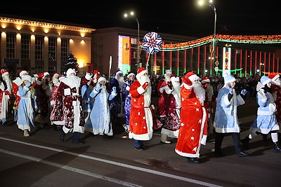В Гомеле зажгли огни на главной елке региона