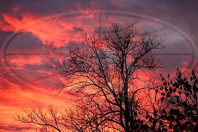 ФОТОХРОНИКА начинает новый информационный день