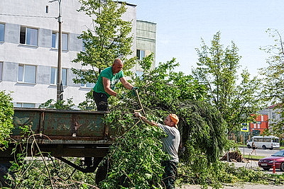 К ликвидации последствий грозового фронта в Могилевской области привлечены дополнительные ресурсы и силы