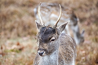 ФОТОХРОНИКА начинает новый информационный день