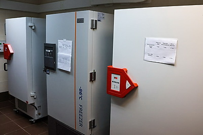 Белорусские ученые создают инновационные препараты для медицины и сельского хозяйства