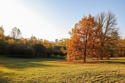 Золотые краски осени