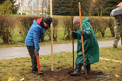 Республиканский субботник проходит в Минске