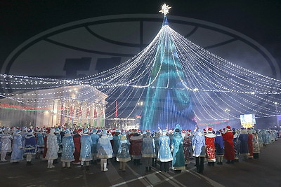 В Гомеле зажгли огни на главной елке региона