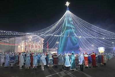 В Гомеле зажгли огни на главной елке региона