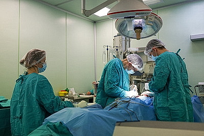 \"Здесь работают настоящие волшебники\". Сергеенко поздравил детей в РНПЦ травматологии и ортопедии