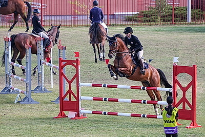 Чемпионат Беларуси по преодолению препятствий завершился в Ратомке