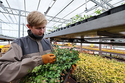 Белорусские ученые создают инновационные препараты для медицины и сельского хозяйства