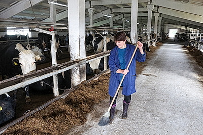 Рейдовая группа проверила предприятия АПК Лиозненского района