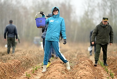 НОК Беларуси принял участие в акции \"Дай лесу новае жыццё!\"