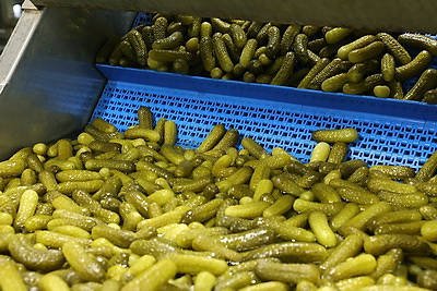 Матусевич ознакомился с работой ряда предприятий Быховского района