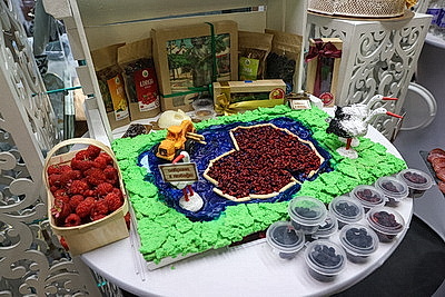 Совет Республики одобрил законопроект о бюджете фонда соцзащиты населения на 2026 год