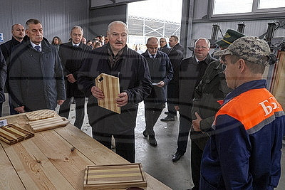 Лукашенко ознакомился с комплексным развитием территории Березинского биосферного заповедника