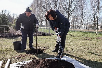 Республиканский субботник: члены Президиума Совета Республики высадили деревья в Ботаническом саду
