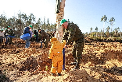 Навести порядок в общем доме. Вольфович об акции \"Лес! Дабро! Парадак!\"