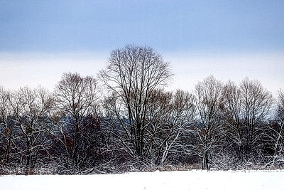 Снежный зимний день