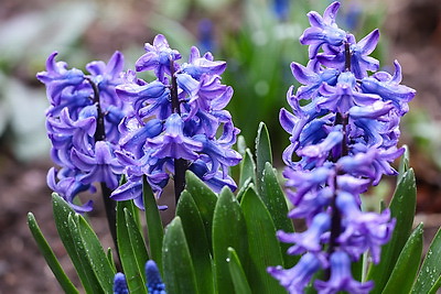 ФОТОХРОНИКА начинает новый информационный день