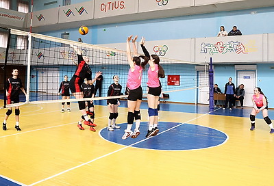 Фестиваль школьного спорта по волейболу и плаванию стартовал в Гомеле