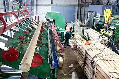 Кличевский лесхоз наладил безотходный цикл производства