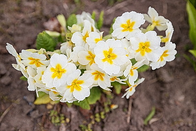 Яркие краски брестских улиц