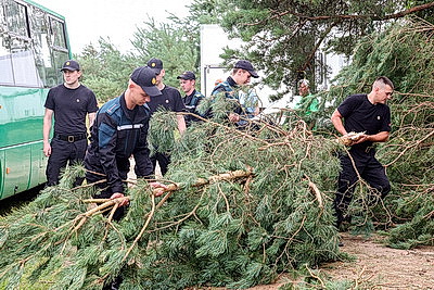 Снесенные крыши и оборванные провода. Минская область ликвидирует последствия удара стихии