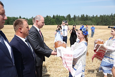 В Минской области началась уборка зерновых