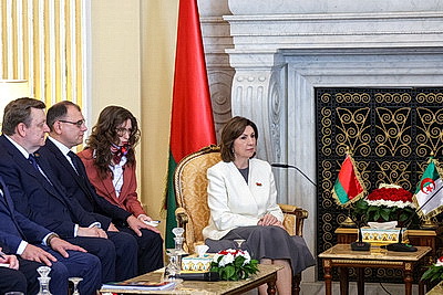Кочанова встретилась с председателем Совета наций парламента Алжира