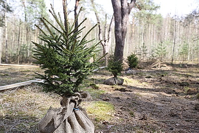 Более 5 тыс. жителей Брестской области присоединились к акции \"Лес! Дабро! Парадак!\"