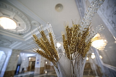 Для научных сотрудников НАН и представителей БГЭУ провели экскурсию во Дворце Независимости