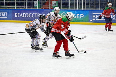 \"Огненные рыси\" из Гомельского района выиграли \"старший\" финал \"Золотой шайбы\" в дивизионе \"Б\"