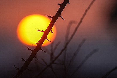 ФОТОХРОНИКА начинает новый информационный день