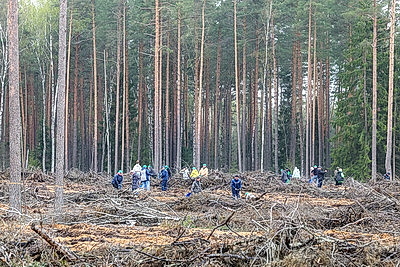 Республиканский субботник: коллектив Администрации Президента принял участие в благоустройстве мемориального комплекса и посадке леса