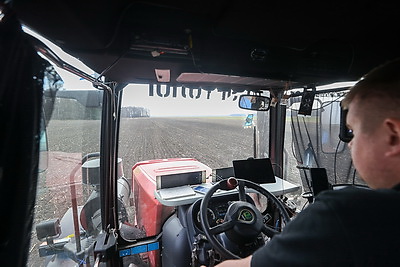 Аграрии Брестской области продолжают сев ранних яровых зерновых и зернобобовых культур