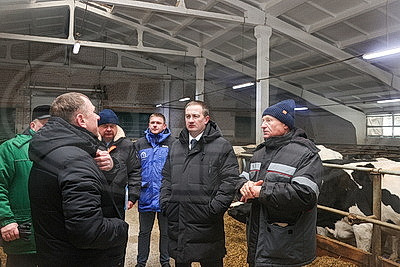 Как содержат телят в МТК \"Лошница\"? Хозяйство проверил премьер-министр