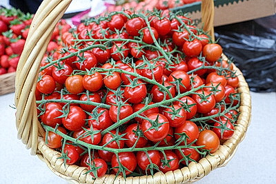 Развитие Припятского Полесья. В Столине прошло выездное заседание совета при Президиуме Совета Республики