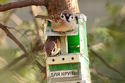 Солнечный весенний день в Минске
