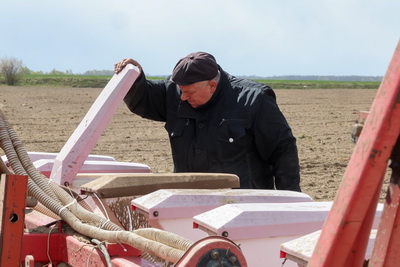 \"Погода испытывает на прочность, но мы не пасуем\". В Быховском районе активно сеют кукурузу на зерно